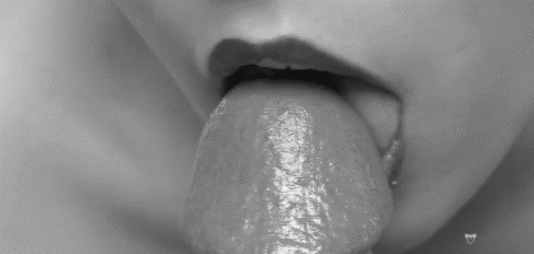 Ill never leave behind these lips