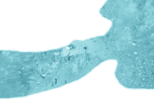 Deep throat handsome