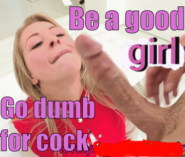 Dumb Is Porn Gifs and Pics
