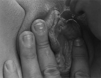 shaved vagina