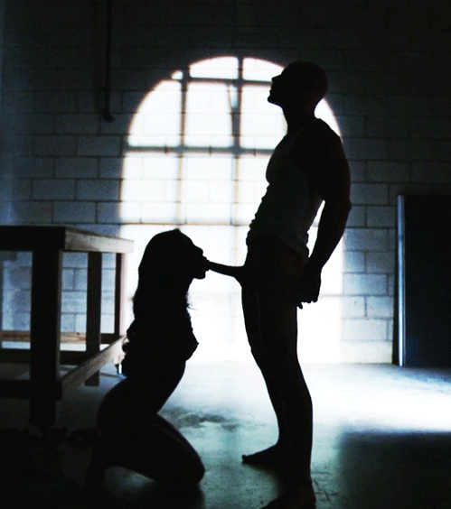 Silhouette blowjob