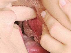 Dicklick vagina licking
