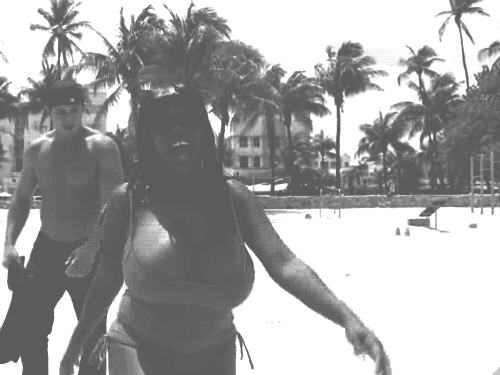 Bouncing ebony
