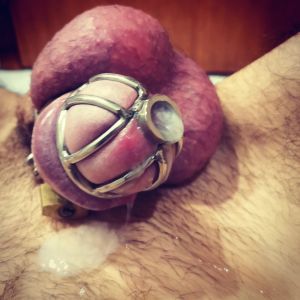 Sissygasm Porn Gifs and Pics - MyTeenWebcam